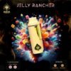 JELLY RANCHER Ace Ultra 2G Disposable