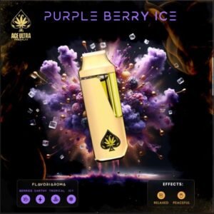 Purple Berry Ice Ace 2G Disposable