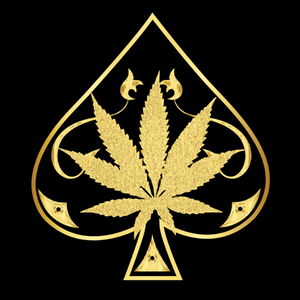 Ace Ultra Premium Brands